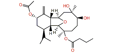 Litophynin I 3-acetate